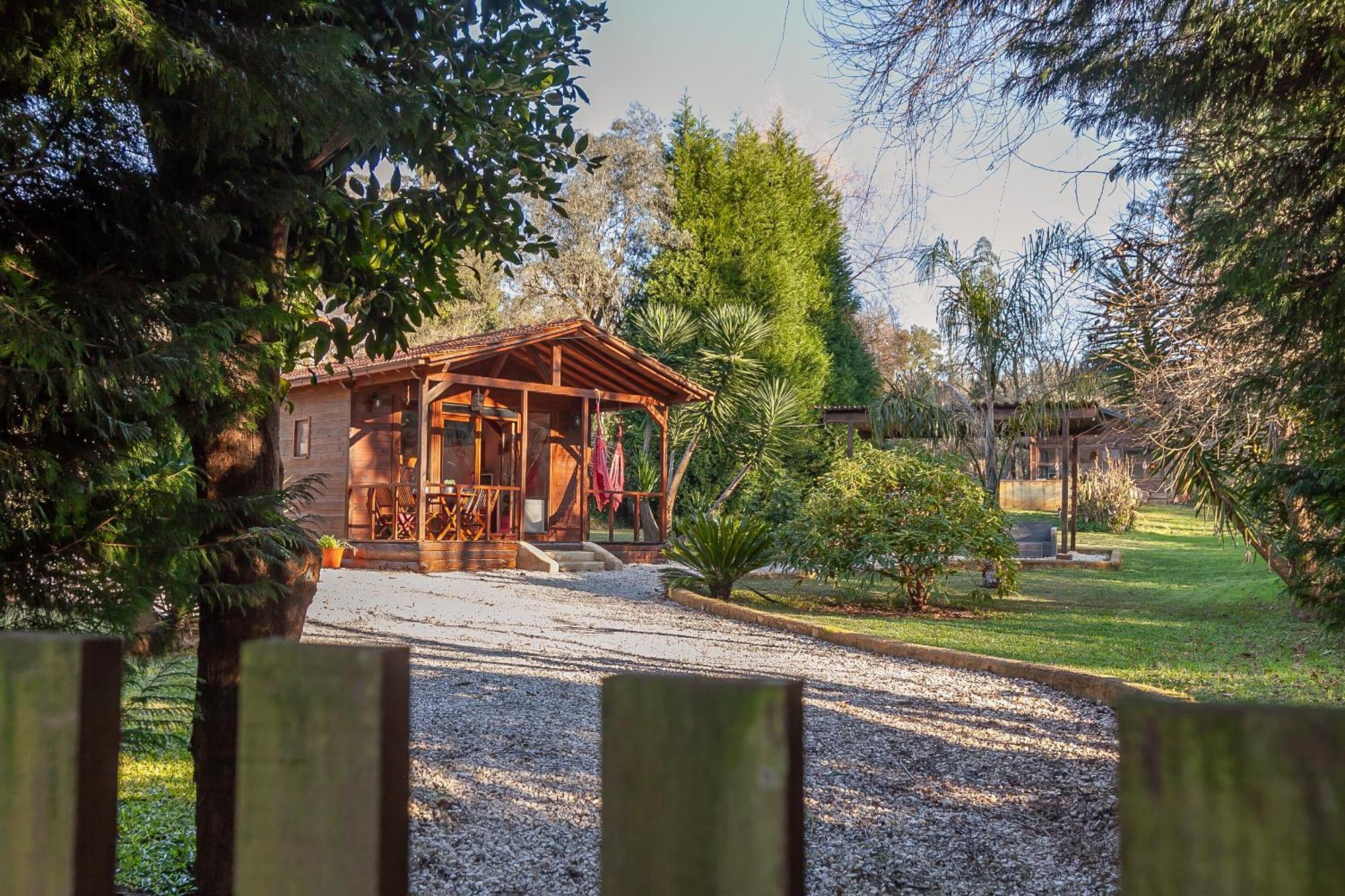 Vale Da Silva Villas - Homes Albergaria-a-Velha Cameră foto